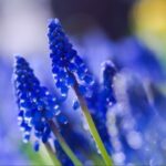 lv国际官网的包包护理技巧,延长使用寿命 6p45320pe6