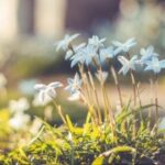 lv国际下载的购物指南:新手必看 xjpth